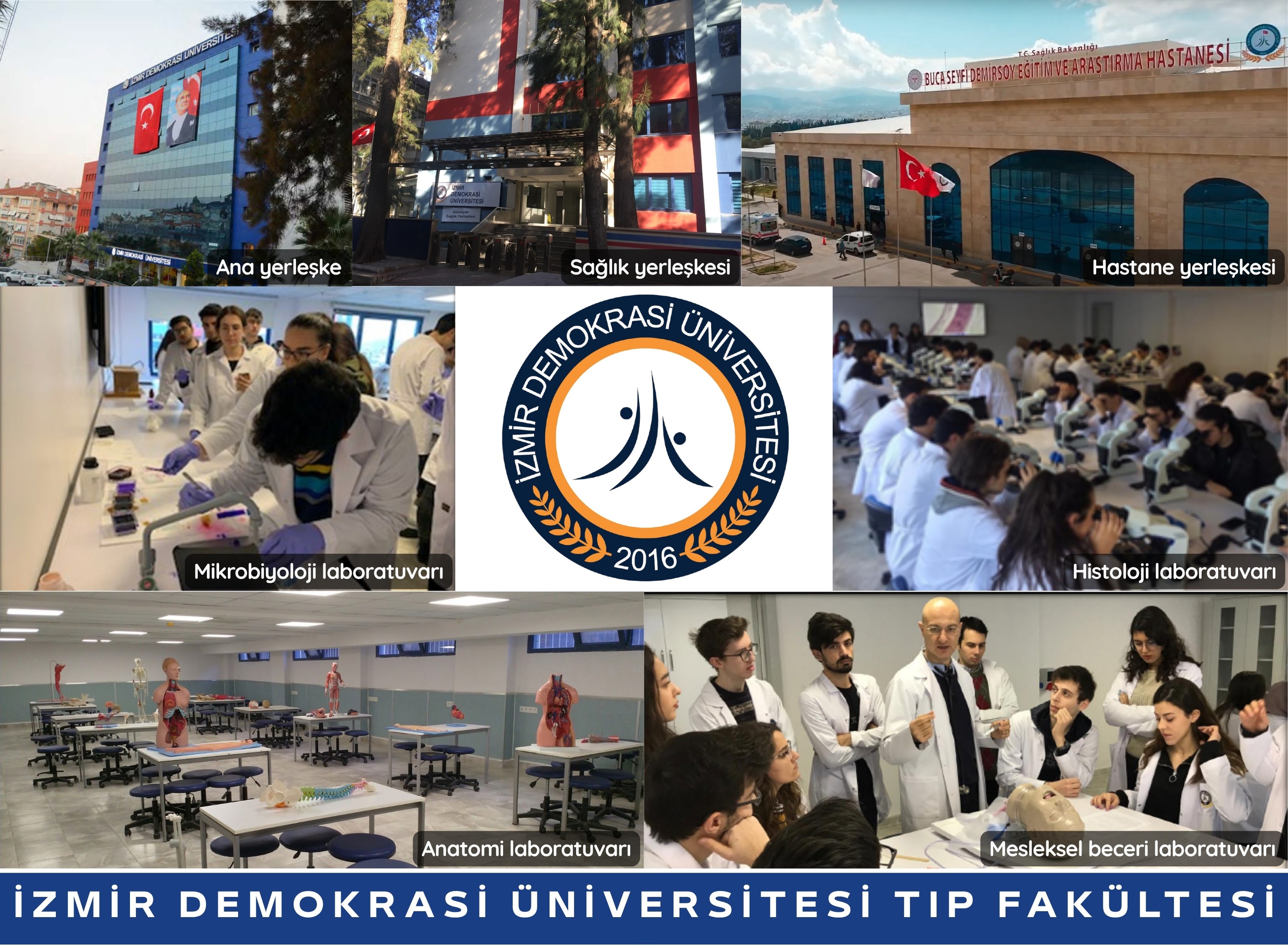 laboratuvarlar.jpg